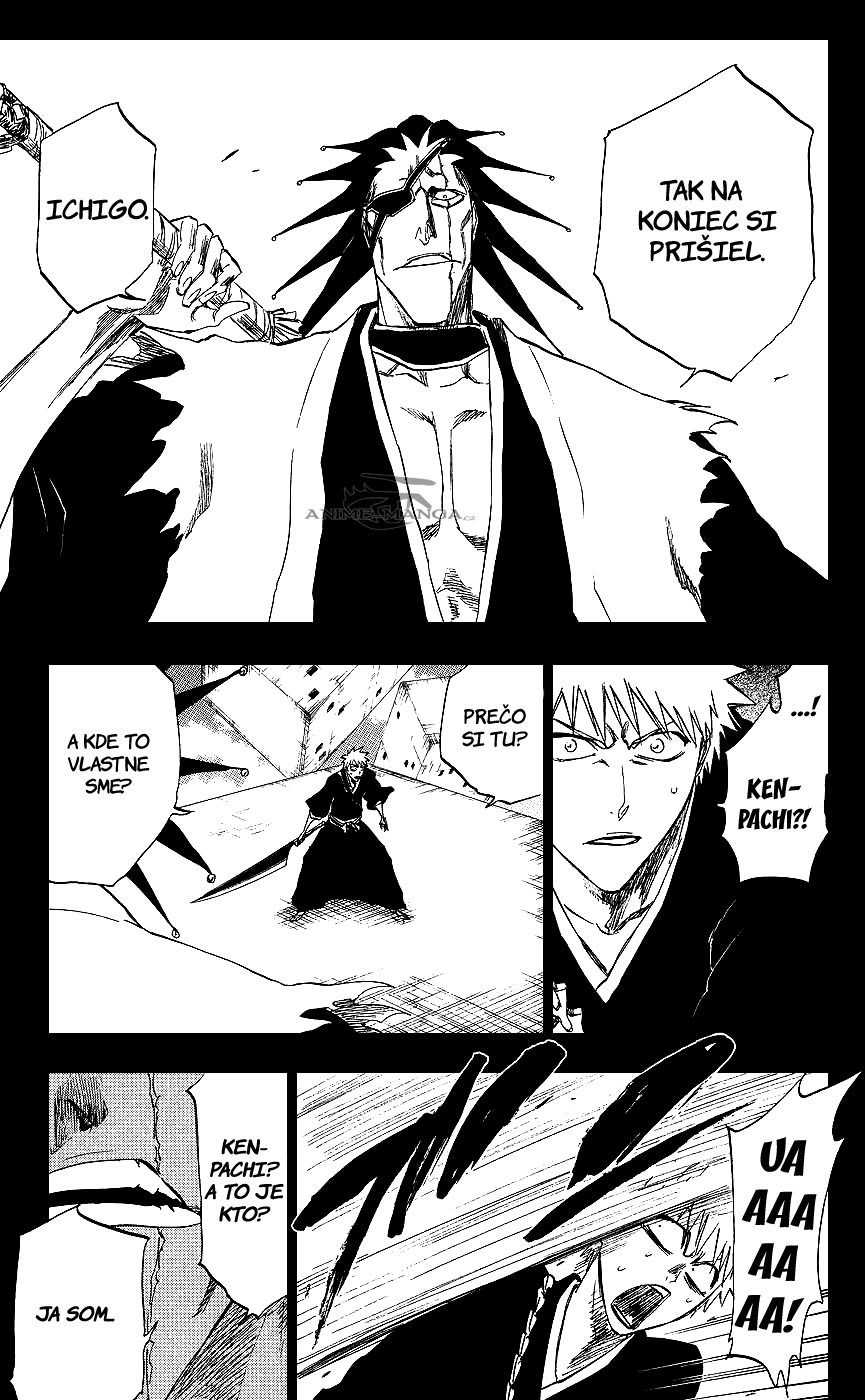 Bleach-25-07-05 kopie.jpg